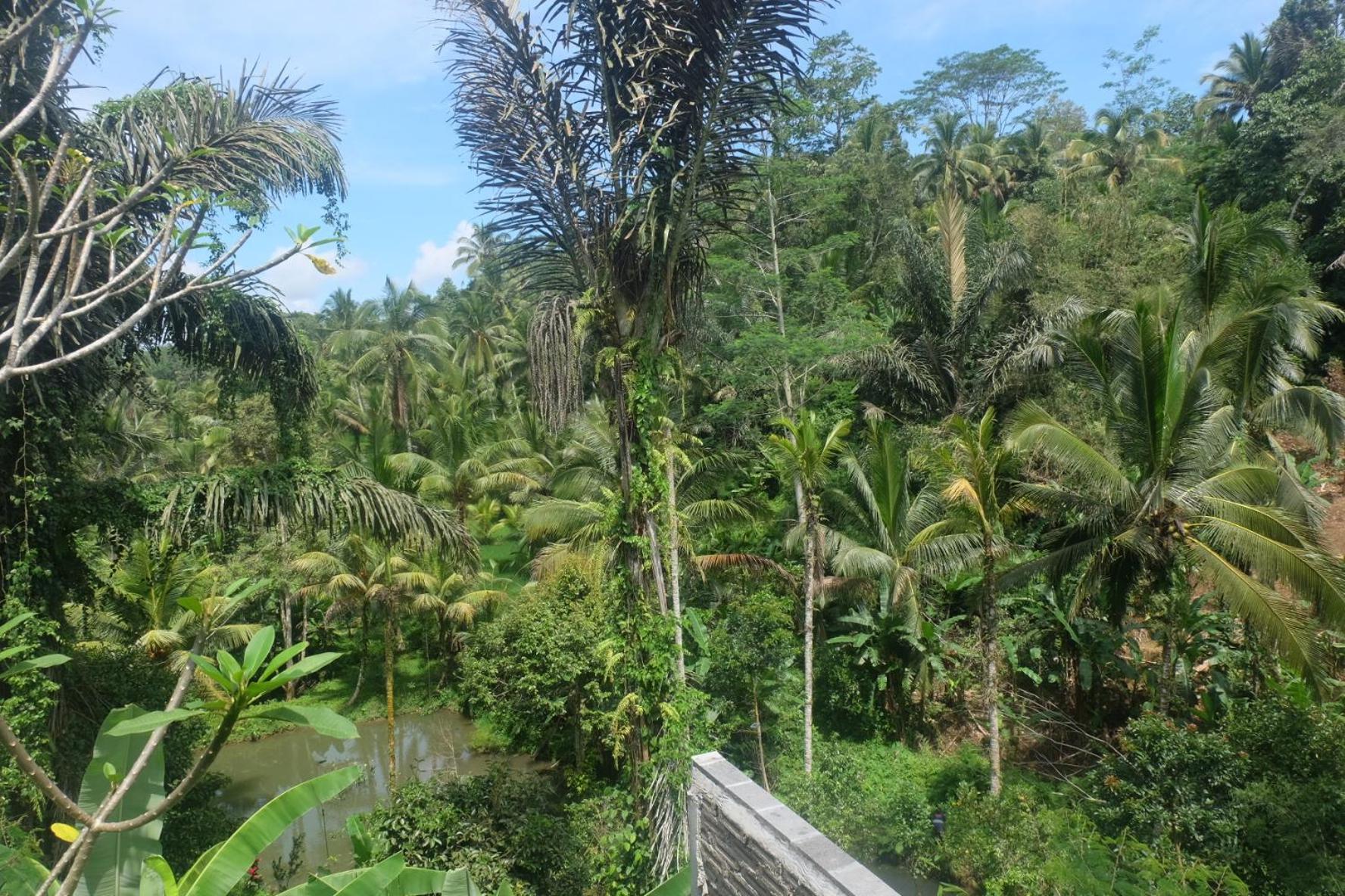 テガララン Gunung Kawi Houseヴィラ エクステリア 写真